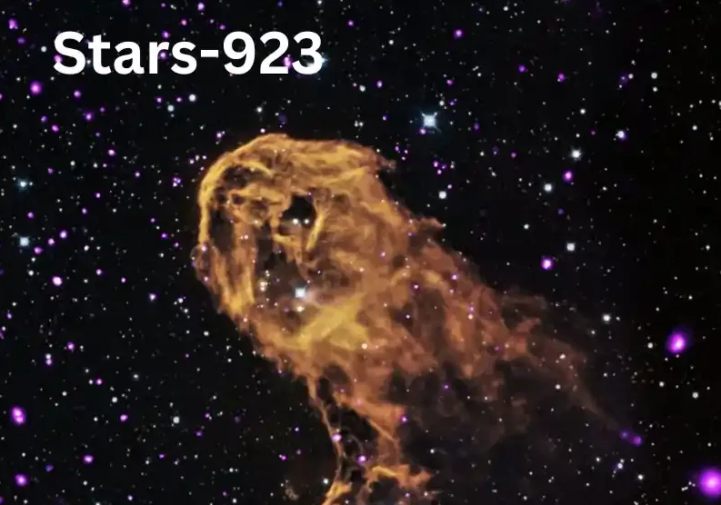 Stars-923: Your Ultimate Destination for Entertainment News Stars-923: Your Ultimate Destination for Entertainment News