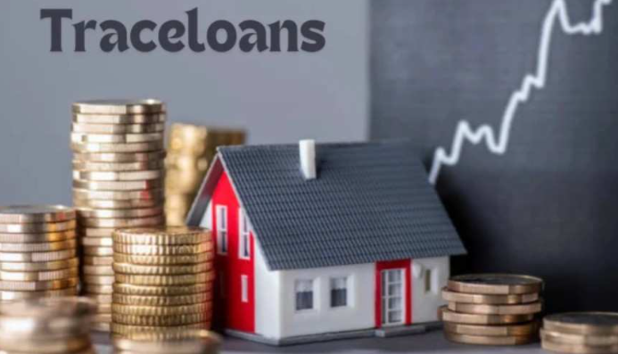 Traceloans: A Modern Solution for Transparent and Efficient Loan Management Traceloans: A Modern Solution for Transparent and Efficient Loan Management